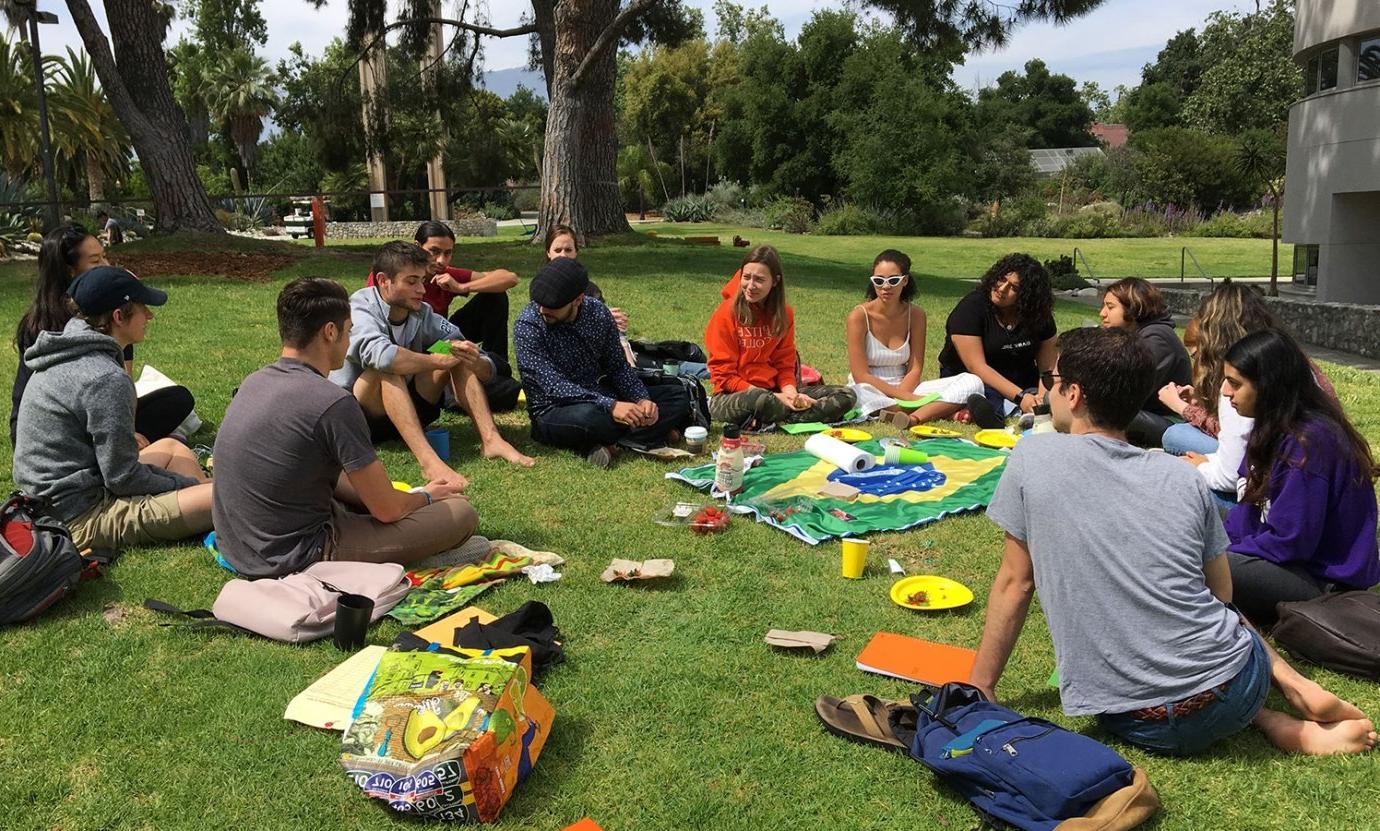 Fourteen students sit on the mounds around a Brazilian flag. 