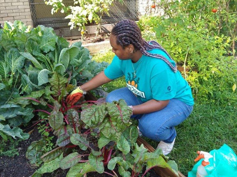 Yaquana Williams at a garden bed filled with leafy greens. 